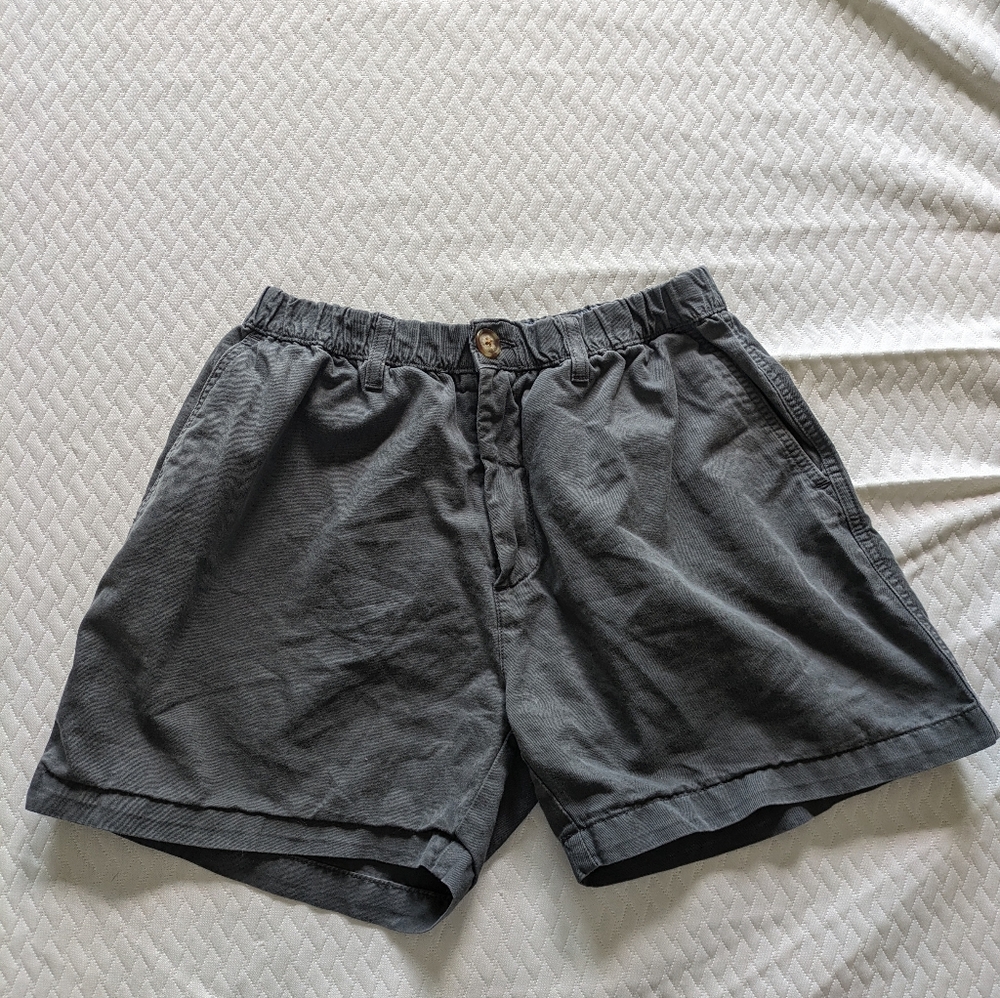 Men's Chubbies Shorts 4" inseam - size large